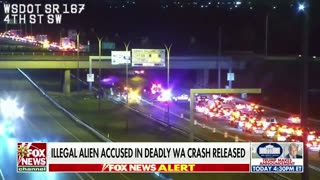 An illegal alien truck driver involved in a fatal crash in Washington has been released