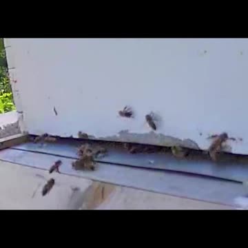 What is happening here?