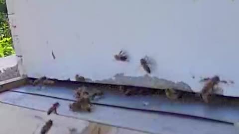 What is happening here?
