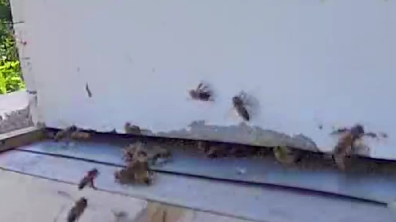What is happening here?