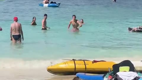 🤣🐒 You Won't Believe This Sneaky Monkey's Move! | FunFM