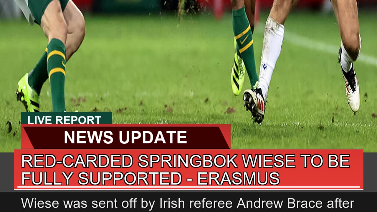 Redcarded Springbok Wiese to Be Fully Supported