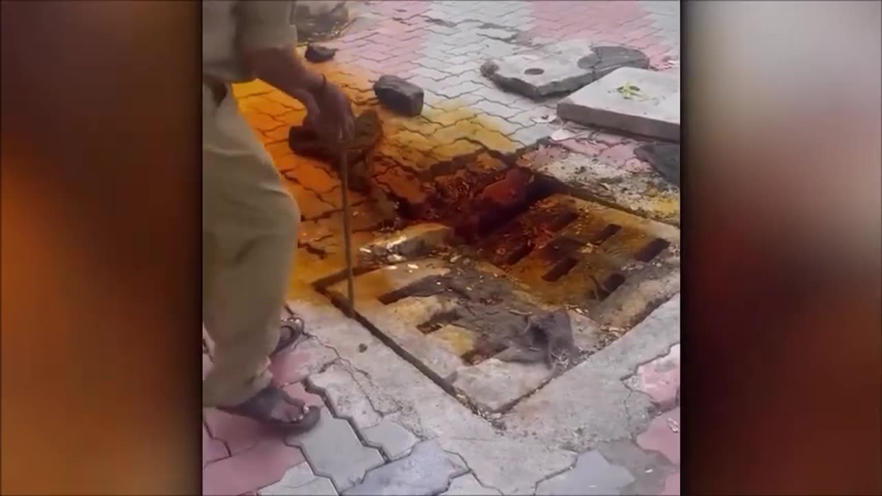 Quand la police a rencontré les entités les plus terrifiantes