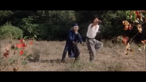 Snake in the eagle's shadow 1978 uncut dubbed