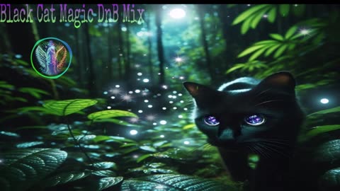 Black Cat Magic DnB Mix