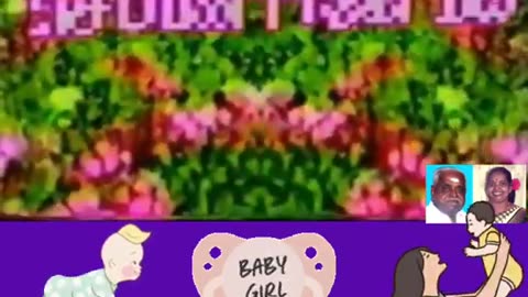 Chitra Valaigapu Sembanarkoil