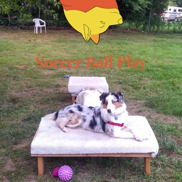 Soccer ball play with platforms and balance beams 2