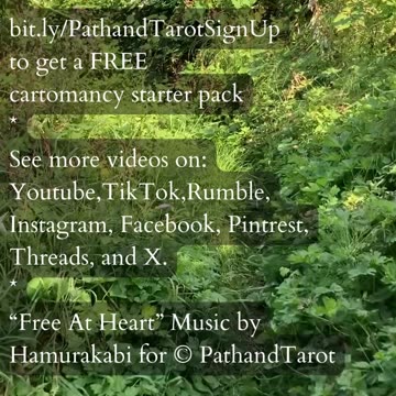 Divine Confidence | Path and Tarot Reading