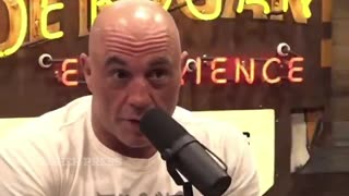 JOE ROGAN TO ELON MUSK: "How do you put someone in jail and you don't even name the clients?"