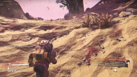 No Man's Sky Expedition!