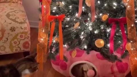 These Christmas tree tunnels are perfect