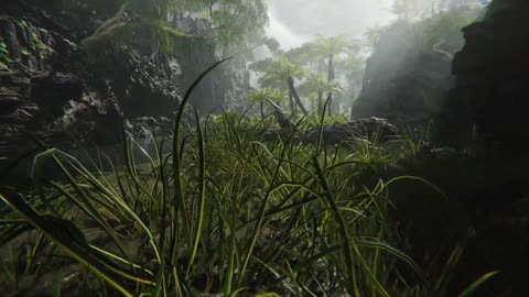 ‘FEROCIOUS’ - Gameplay Trailer