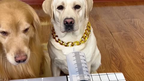 I just want to eat a piece of jerky, you want my life!!