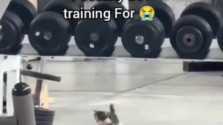 😂🤯 Wait Until You See What Happens in Turkey! | FunFM