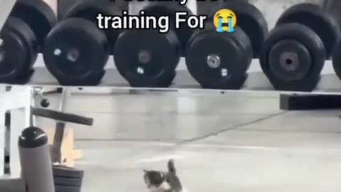 😂🤯 Wait Until You See What Happens in Turkey! | FunFM