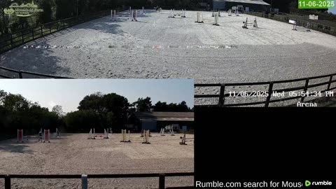 Mousehold Farm All Weather Riding arena