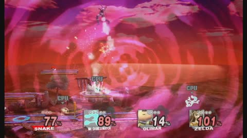 Super Smash Bros Brawl Battle266