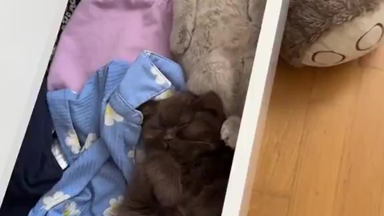 I didnt even see the light grey one at first! 🥹🤣
