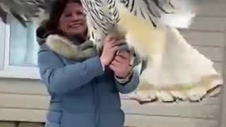 Incredible: Small to big animal transformation!