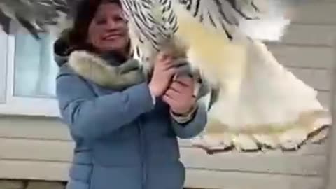 Incredible: Small to big animal transformation!