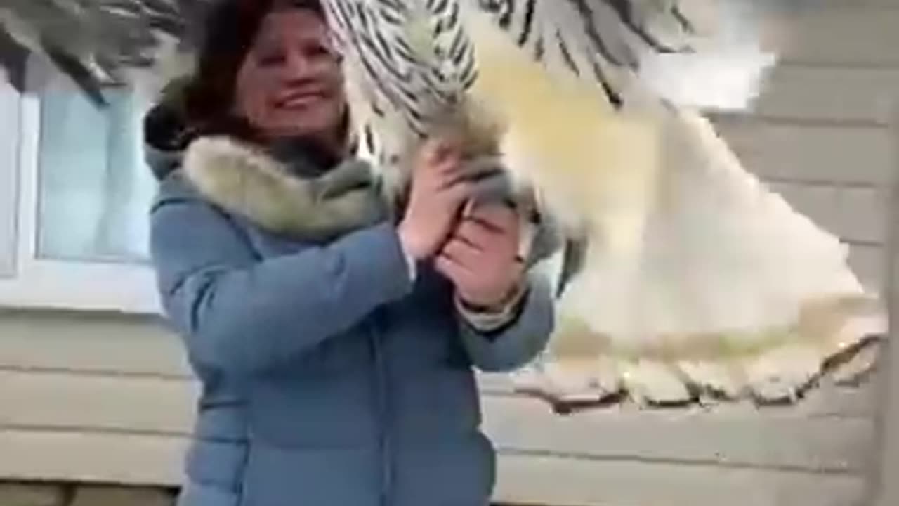 Incredible: Small to big animal transformation!