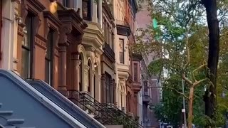 Welcome to New York City