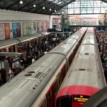 What is a sole trader 🪙