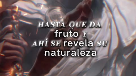 REFLEXIONES 💫 🤍 💫 🤍 💫 🤍 💫