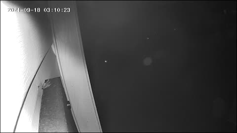 🤔👻 What Do You Think This Is? Join the Discussion! | TheHauntingHour