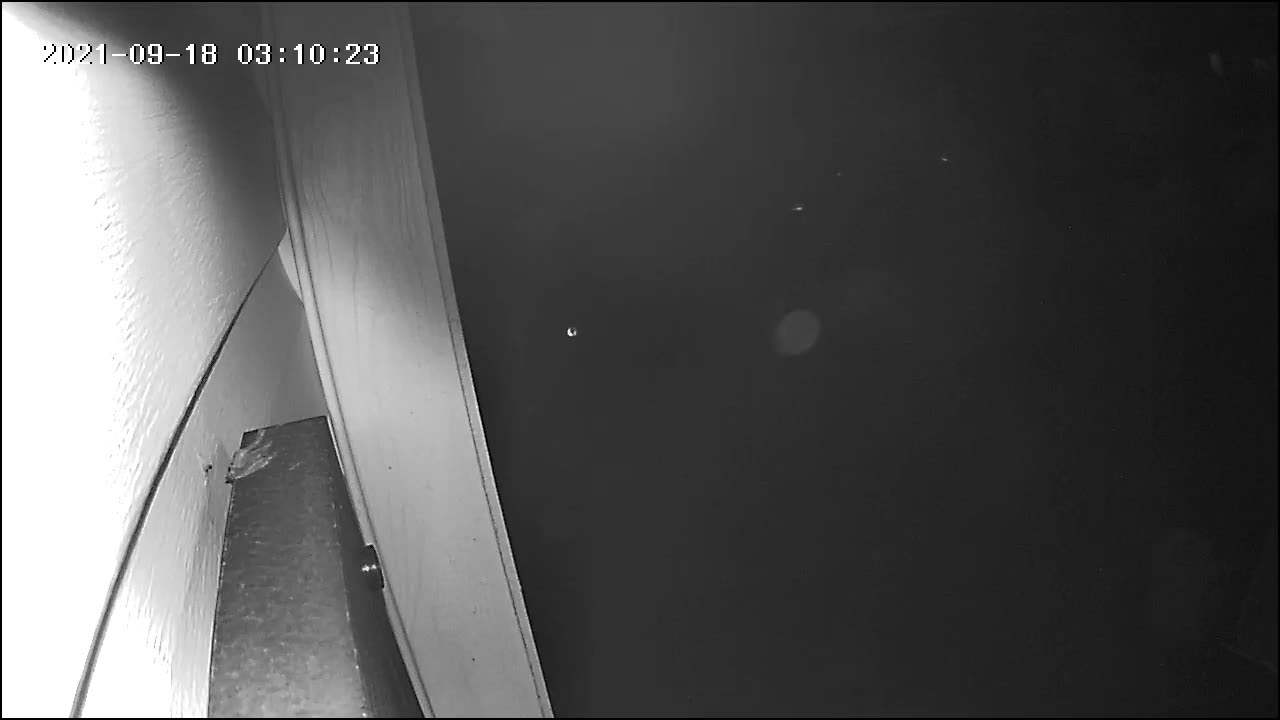 🤔👻 What Do You Think This Is? Join the Discussion! | TheHauntingHour