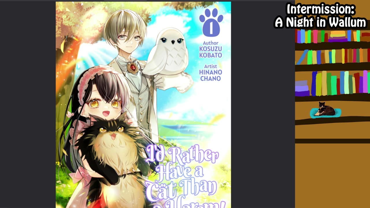 Reading Light Novels