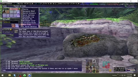 Playing Final Fantasy XI Online