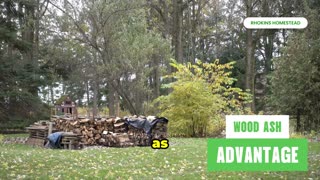 Surprising Advantages of Using Wood Ash in Your Garden