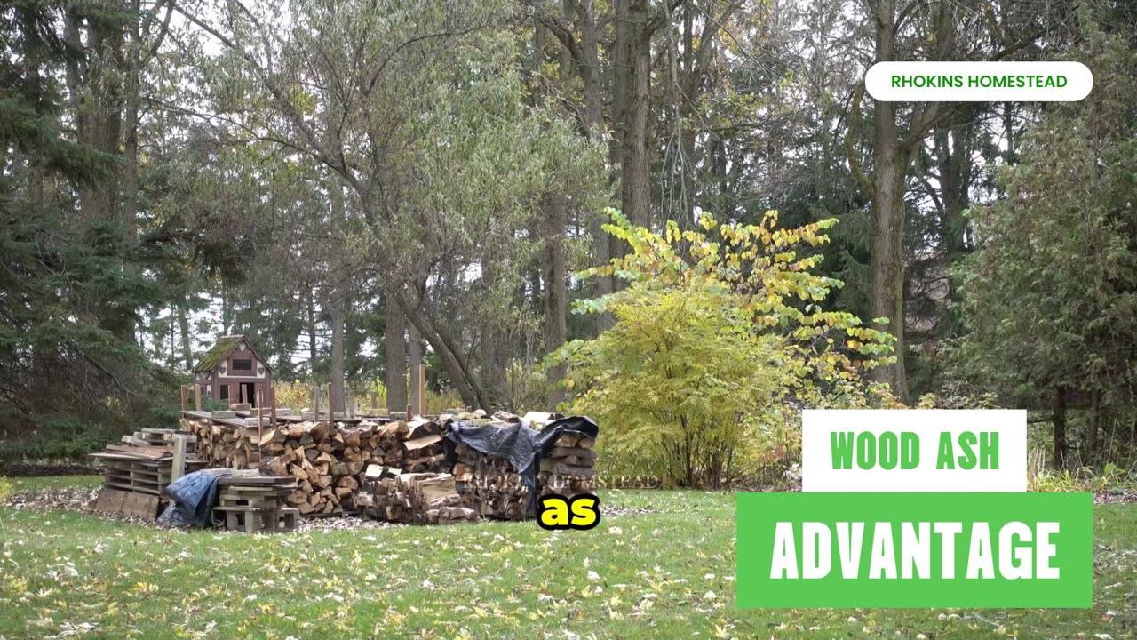 Surprising Advantages of Using Wood Ash in Your Garden