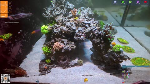 24/7 Real Live Reef Stream