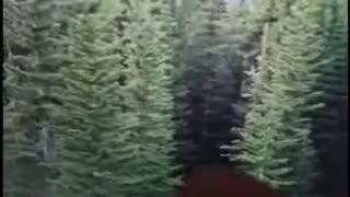 Stop celebrating CHRISTMAS!!!