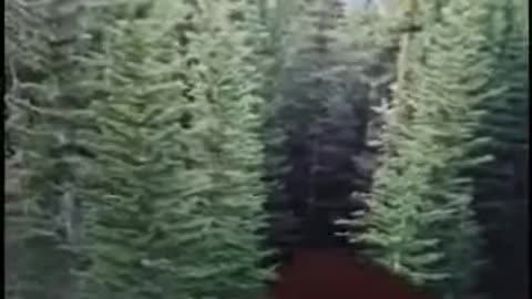 Stop celebrating CHRISTMAS!!!