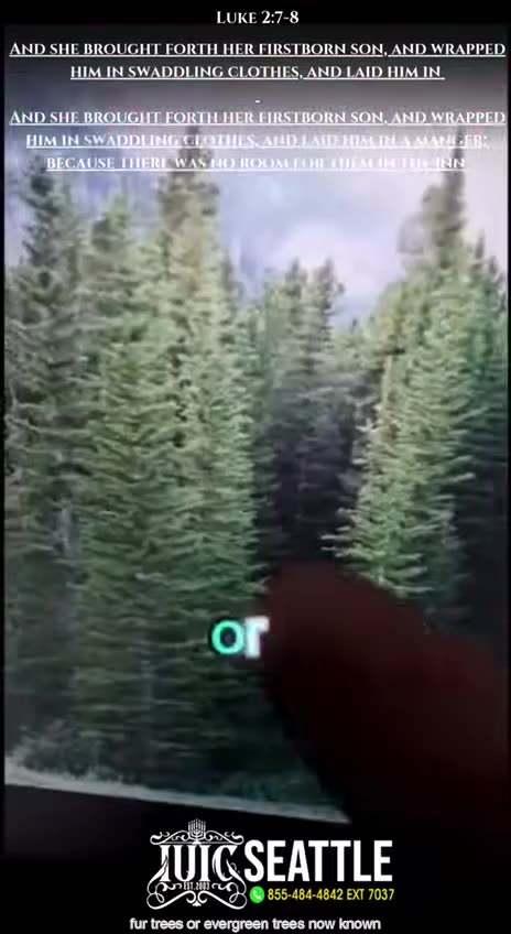 Stop celebrating CHRISTMAS!!!