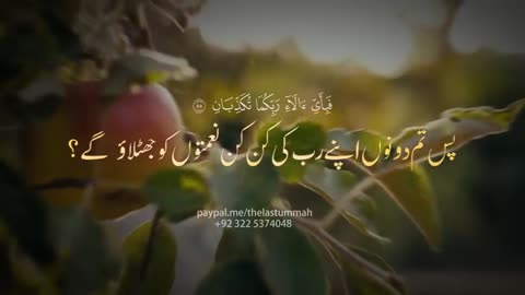 **World's best Surah Rahman with Urdu translation 2025 - New Quran Visualization 2025