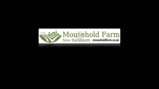 Mousehold Farm All Weather Riding arena
