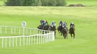 2025 Irish St Leger | Illinois, Amiloc, Al Riffa