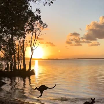 Welcome to Australia 🇦🇺