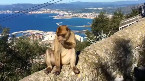 Moments of Instant Regret Caught on Camera