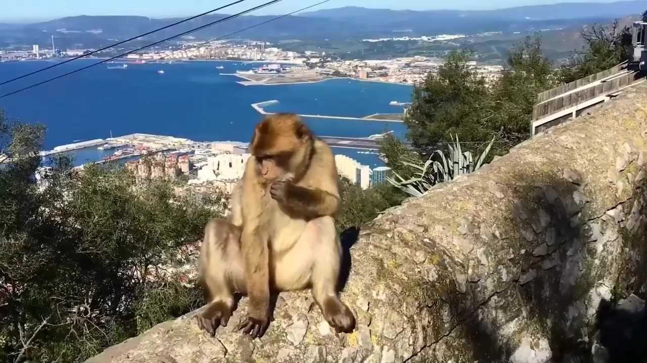 Moments of Instant Regret Caught on Camera