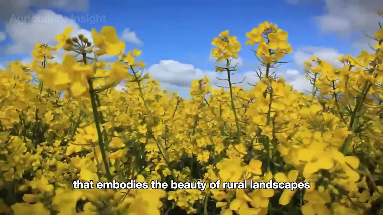 1.9 BILLION Tons of Sugarcane! 🌱 | How Sugar Is Really Made with Advanced Agri-Tech 🍬