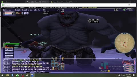 Playing Final Fantasy XI Online