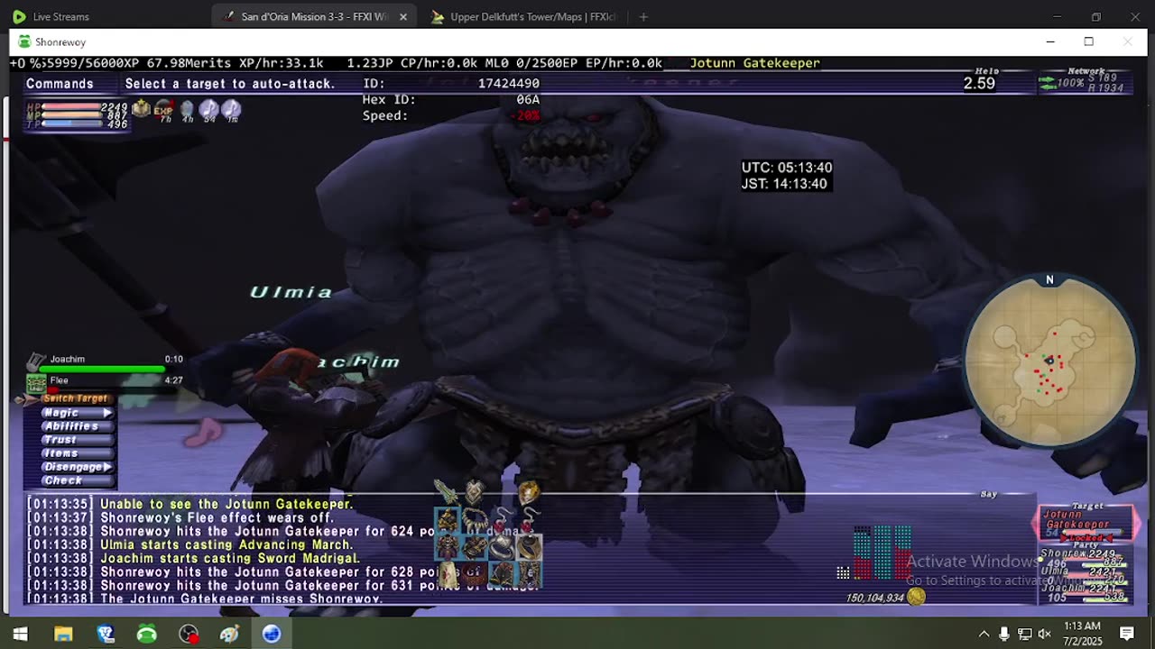 Playing Final Fantasy XI Online