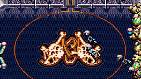 Mega Drive Longplay 306 Crue Ball