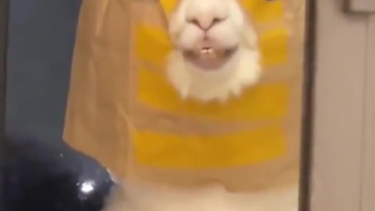 Person Taking My Order