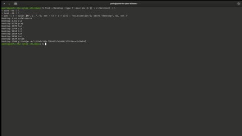Linux File Hunt: How to Quickly Find and Categorize Your Largest Desktop Files